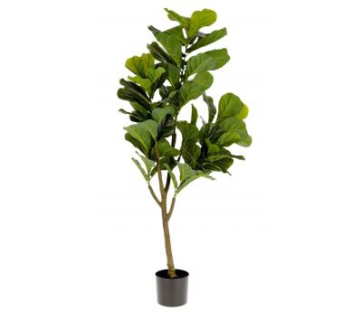  Planta Ficus artificial