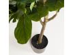  Planta Ficus artificial