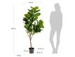 Plant Artificial Philo