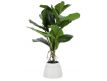  Planta artificial Ficus 60cm