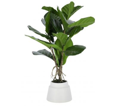 Plant artificial Ficus 60cm