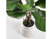 Plant artificial Ficus 60cm