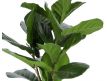  Planta artificial Ficus 60cm