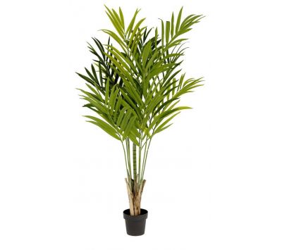  Planta artificial Dypsis lutescens 196cm