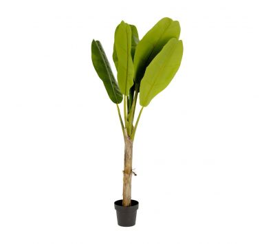Plant artificial Strelitzia nicolai 175cm