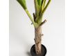  Planta artificial Strelitzia nicolai 175cm
