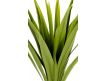  Plant artificial Yucca 70cm