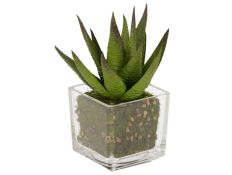  Succulent artificial plant IV