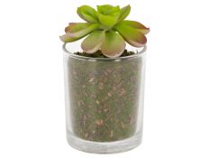  Succulent artificial plant V