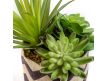  Succulent artificial plant VIII