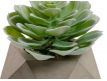  Succulent artificial plant XII