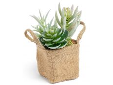  Succulent artificial plant XIV