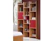 Bookcase ZZK6