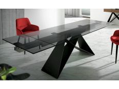 MEAL TABLE EXT. MMUM