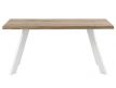 DINING TABLE ANICUL