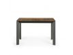 DINING TABLE EXT. SIXA