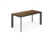 DINING TABLE EXT. SIXA