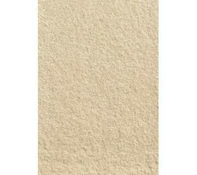 RUG SEDUCTION 36