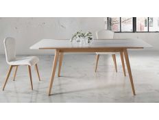 EXTENDABLE TABLE YDOOW