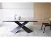 DINING TABLE XTENSE
