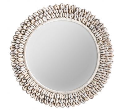 MIRROR CONCH