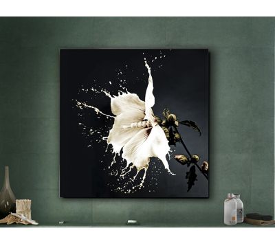 QUADRO SPLASH