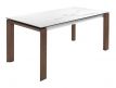 EXTENSIBLE TABLE KENKO