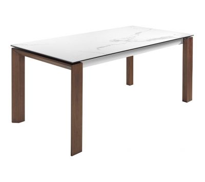EXTENSIBLE TABLE KENKO