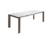 EXTENSIBLE TABLE KENKO