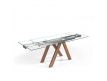  Extensible table BALI