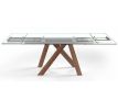  Extensible table BALI