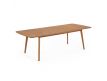 EXTENDING TABLE HANZEL