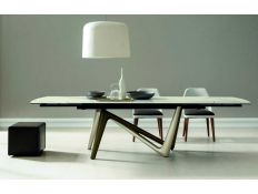 EXTENDING TABLE ESSE