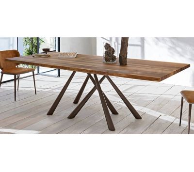 DINING TABLE FOREST