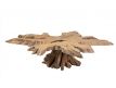 NATURAL TEAK ROOT COFFEE TABLE