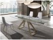 EXTENSIBLE TABLE PLUCKY