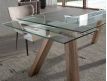 EXTENSIBLE TABLE PLUCKY