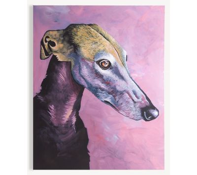 SCREEN GALGO