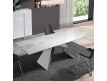 EXTENSIBLE TABLE BIG