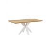 ELAINE DINING TABLE II