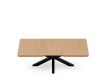 GLADYS EXTENDABLE DINING TABLE