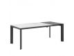 TAMARA EXTENDABLE DINING TABLE