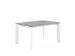 TAMARA EXTENDABLE DINING TABLE