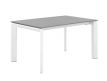 TAMARA EXTENDABLE DINING TABLE