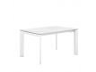 TAMARA EXTENDABLE DINING TABLE