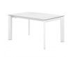 TAMARA EXTENDABLE DINING TABLE