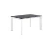 TAMARA EXTENDABLE DINING TABLE