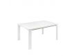 JANET EXTENDABLE DINING TABLE
