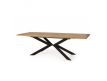 EXTENSIBLE DINING TABLE DT-251