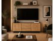 OHIO TV BASE